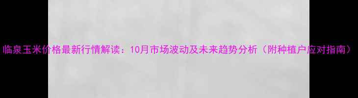 图片 临泉玉米价格最新行情解读：10月市场波动及未来趋势分析（附种植户应对指南）