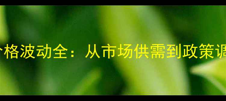 图片 主2008年玉米价格波动全：从市场供需到政策调控的深层逻辑1