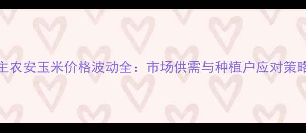 图片 主农安玉米价格波动全：市场供需与种植户应对策略