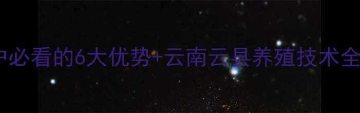 图片 云县双胞胎饲料：养殖户必看的6大优势+云南云县养殖技术全（附种植户真实反馈）1