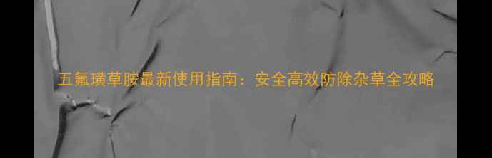 图片 五氟璜草胺最新使用指南：安全高效防除杂草全攻略