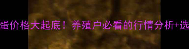 图片 五莲鸡蛋价格大起底！养殖户必看的行情分析+选购指南
