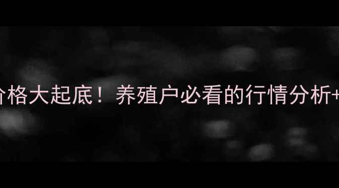 图片 五莲鸡蛋价格大起底！养殖户必看的行情分析+选购指南2