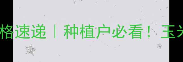 图片 今日汾阳玉米价格速递｜种植户必看！玉米收购价波动全2