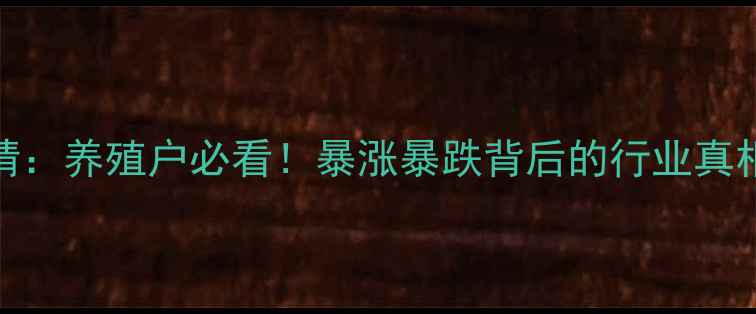 图片 今日蛋鸡蛋价格行情：养殖户必看！暴涨暴跌背后的行业真相+全年波动趋势全1