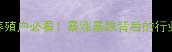 图片 今日蛋鸡蛋价格行情：养殖户必看！暴涨暴跌背后的行业真相+全年波动趋势全2