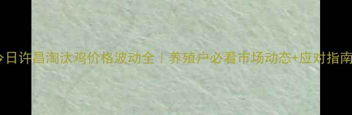 图片 今日许昌淘汰鸡价格波动全｜养殖户必看市场动态+应对指南2