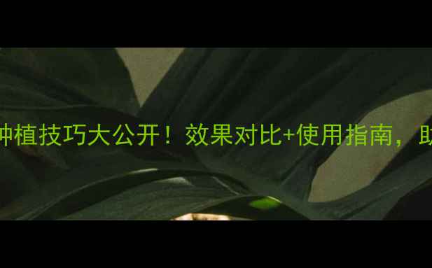 图片 优果利农药种植技巧大公开！效果对比+使用指南，助您增产增收