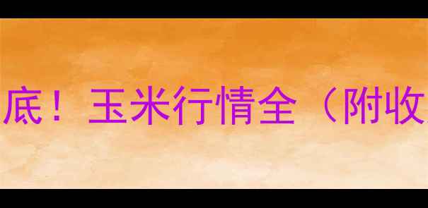 图片 保定新玉米价格大起底！玉米行情全（附收购渠道+种植攻略）1