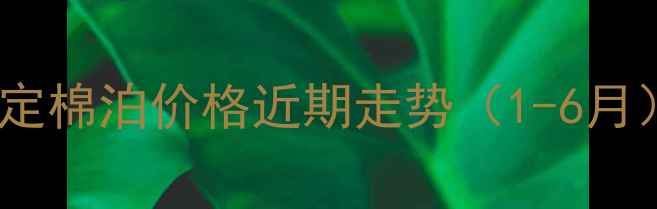 图片 保定棉泊价格近期走势（1-6月）2