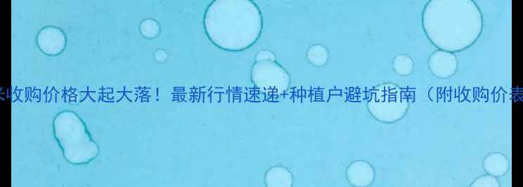图片 保定玉米收购价格大起大落！最新行情速递+种植户避坑指南（附收购价表）🌾📊2