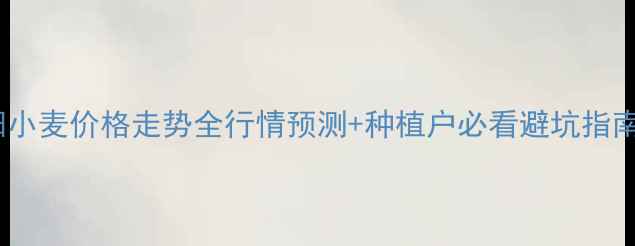 图片 信阳小麦价格走势全行情预测+种植户必看避坑指南🌾1