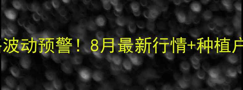 图片 信阳玉米价格波动预警！8月最新行情+种植户避坑指南🌾1