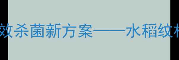 图片 先正达谷菲扬：权威高效杀菌新方案——水稻纹枯病防治全攻略（版）1