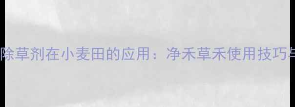 图片 克阔乐除草剂在小麦田的应用：净禾草禾使用技巧与效果2