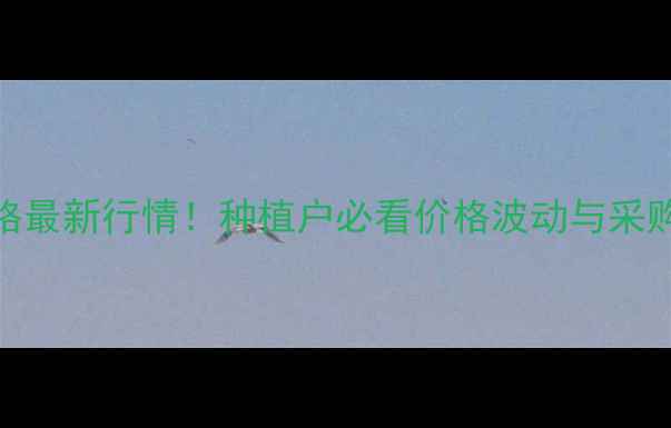 图片 全国冷冻玉米批发价格最新行情！种植户必看价格波动与采购指南（附趋势分析）