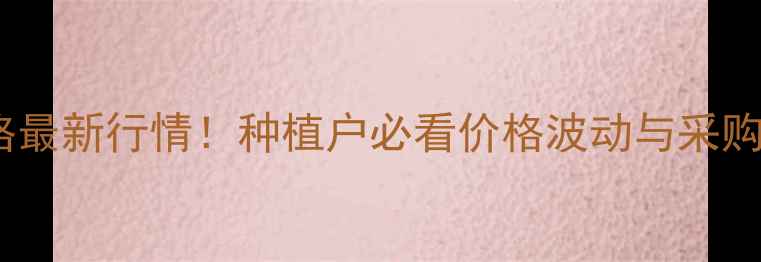 图片 全国冷冻玉米批发价格最新行情！种植户必看价格波动与采购指南（附趋势分析）1