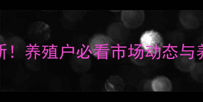 图片 全国大土杂猪价格行情最新！养殖户必看市场动态与养殖技巧（附地区价格表）