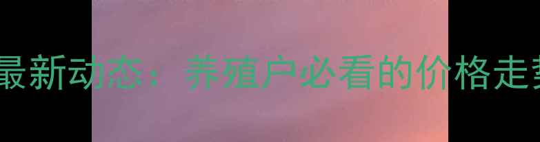图片 全国猪肉价格最新动态：养殖户必看的价格走势与市场分析2