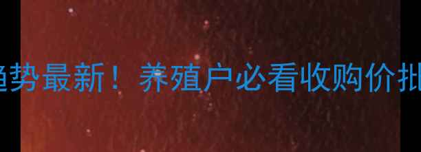 图片 全国猪肉价格波动趋势最新！养殖户必看收购价批发价零售价对照表1