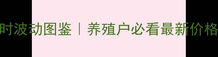 图片 全国生猪价格实时波动图鉴｜养殖户必看最新价格趋势+成本分析2