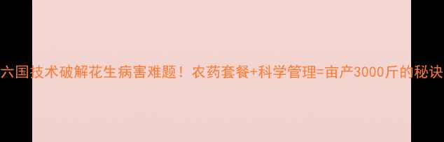 图片 六国技术破解花生病害难题！农药套餐+科学管理=亩产3000斤的秘诀