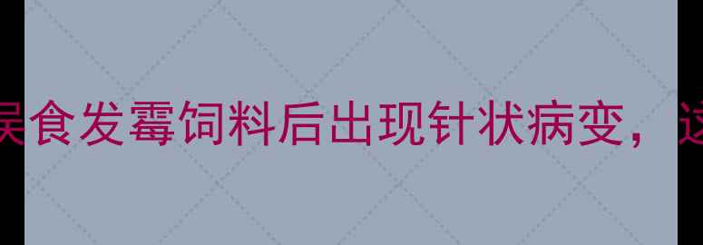 图片 养殖户警惕！兔子误食发霉饲料后出现针状病变，这些处理方法能救命