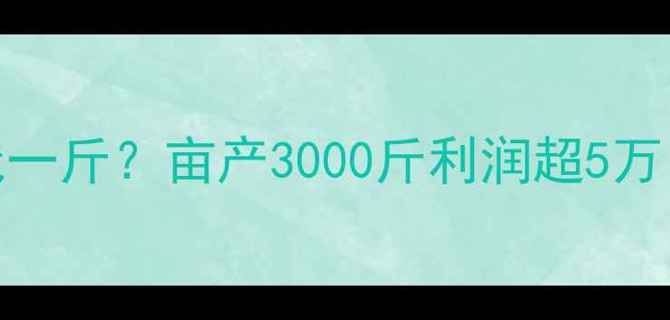 图片 养殖黄鳝价格多少钱一斤？亩产3000斤利润超5万，新手必看技术要点