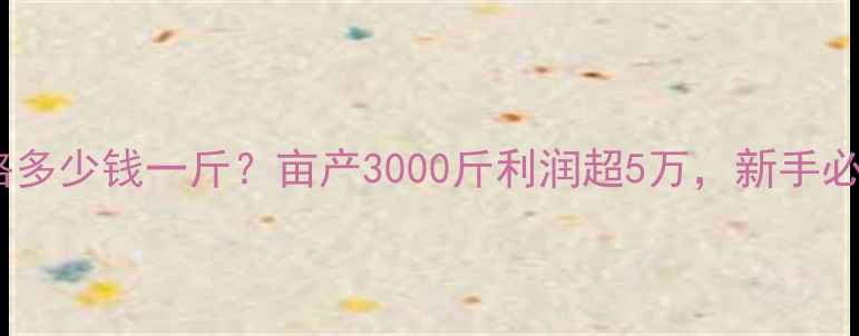 图片 养殖黄鳝价格多少钱一斤？亩产3000斤利润超5万，新手必看技术要点1