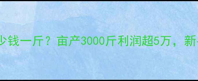 图片 养殖黄鳝价格多少钱一斤？亩产3000斤利润超5万，新手必看技术要点2