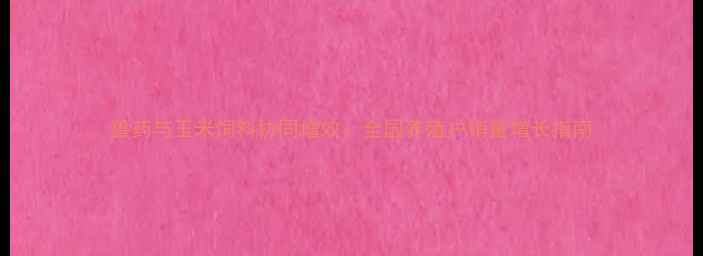 图片 兽药与玉米饲料协同增效：全国养殖户销量增长指南