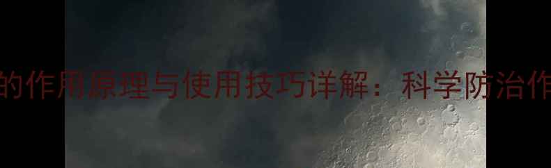图片 内吸性农药的作用原理与使用技巧详解：科学防治作物病害指南