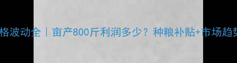 图片 内蒙古小麦价格波动全｜亩产800斤利润多少？种粮补贴+市场趋势附最新数据1
