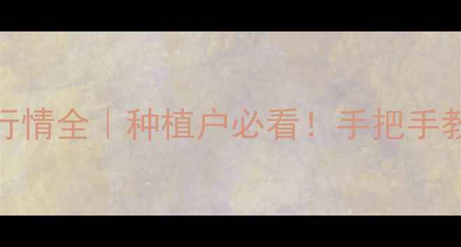 图片 内蒙古玉米价格行情全｜种植户必看！手把手教你抢抓市场机遇