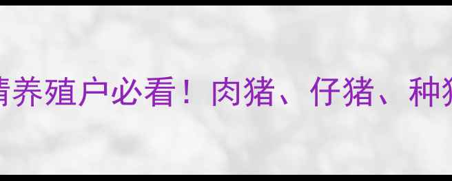 图片 内蒙古赤峰小猪价格最新行情养殖户必看！肉猪、仔猪、种猪价格走势全+养殖技术干货2