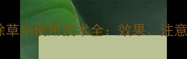 图片 农业种植指南烯草酮除草剂使用技术全：效果、注意事项与科学施用方案1