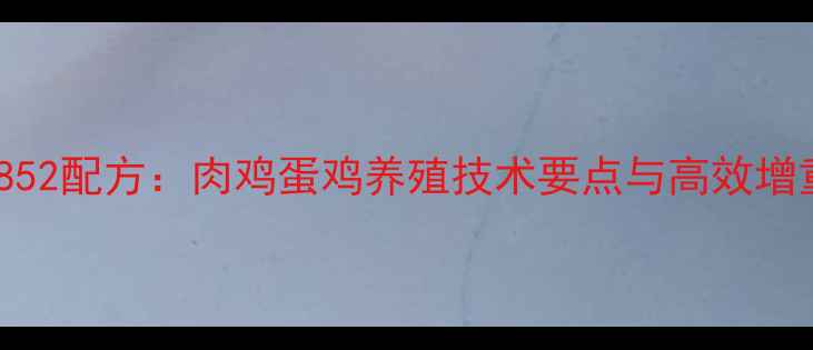 图片 农昌饲料852配方：肉鸡蛋鸡养殖技术要点与高效增重全攻略1