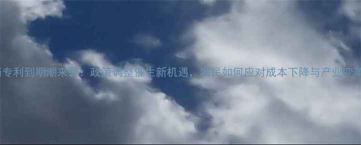 图片 农药专利到期潮来袭：政策调整催生新机遇，农民如何应对成本下降与产业变革？2