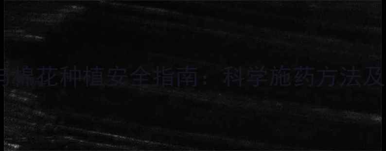 图片 农药使用与棉花种植安全指南：科学施药方法及注意事项2