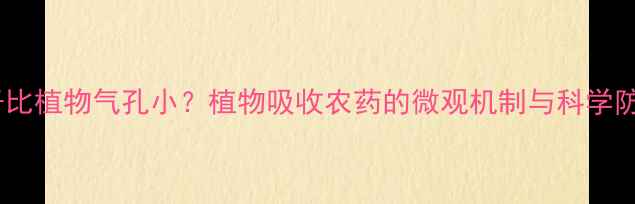 图片 农药分子比植物气孔小？植物吸收农药的微观机制与科学防治策略2