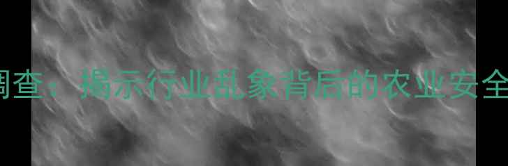 图片 农药厂无证经营调查：揭示行业乱象背后的农业安全隐忧与监管漏洞1