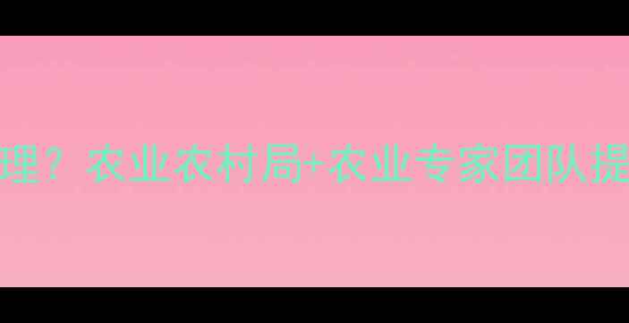 图片 农药失效如何处理？农业农村局+农业专家团队提供权威解决方案