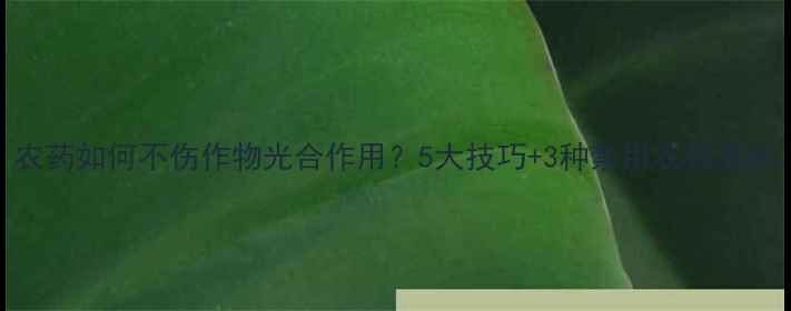 图片 农药如何不伤作物光合作用？5大技巧+3种禁用农药清单