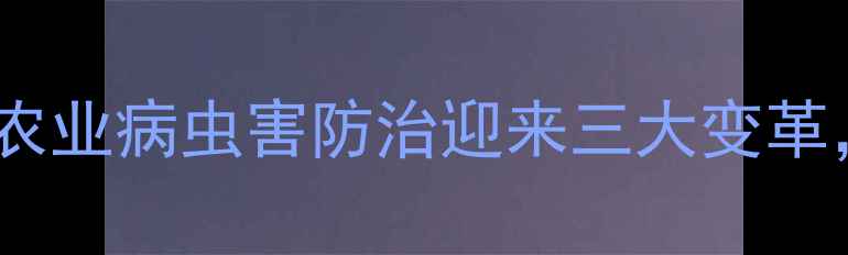 图片 农药局新规落地！农业病虫害防治迎来三大变革，农民必看！🌾🔍1