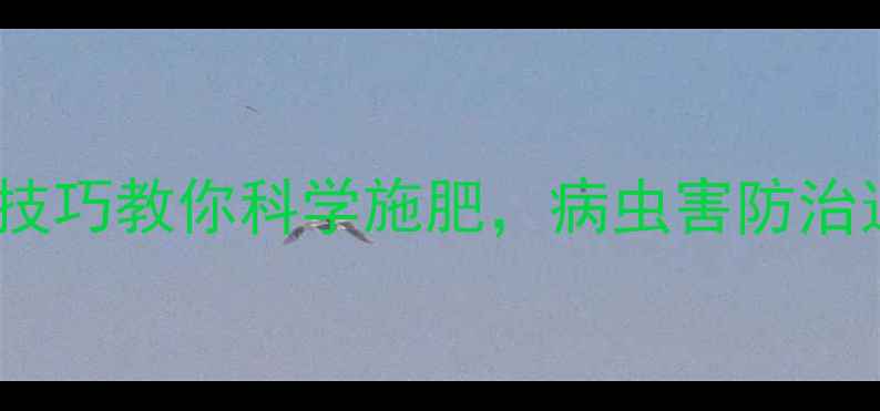 图片 农药所吴志凤：5大技巧教你科学施肥，病虫害防治这样做效果翻倍！🌱