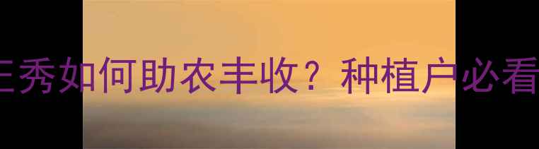 图片 农药推荐！正邦正秀如何助农丰收？种植户必看使用技巧与案例1