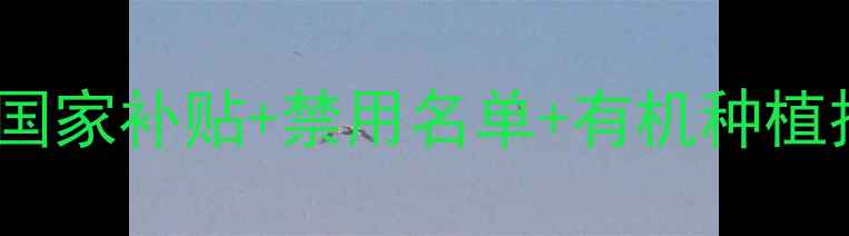 图片 农药新政策解读！国家补贴+禁用名单+有机种植技巧，农民必看！2