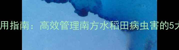 图片 农药科学使用指南：高效管理南方水稻田病虫害的5大核心技巧1