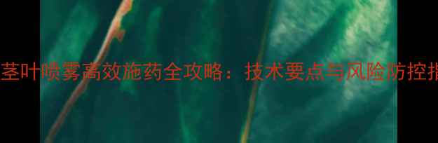 图片 农药茎叶喷雾高效施药全攻略：技术要点与风险防控指南1
