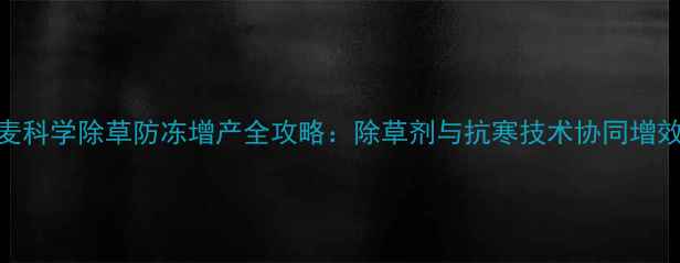 图片 冬小麦科学除草防冻增产全攻略：除草剂与抗寒技术协同增效指南